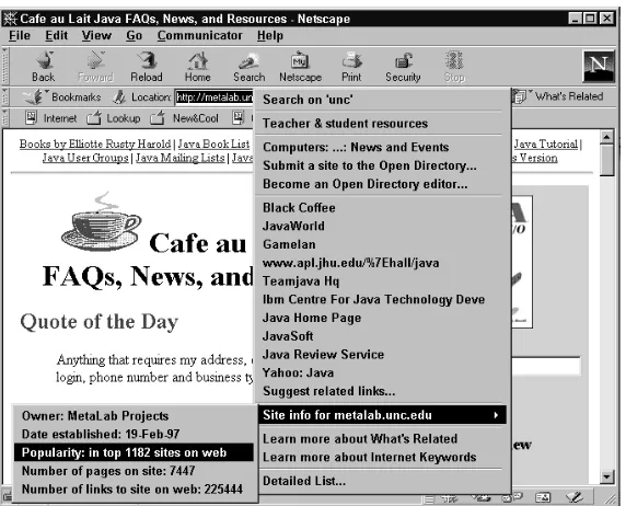 Figure 2-9: Netscape’s What’s Related menu