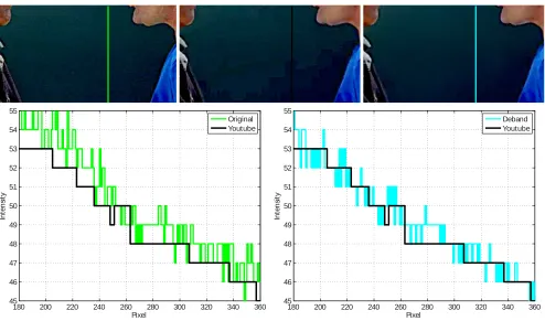 Figure 1: Frame 100 from the Artbeats SP111 sequence. Bottom row: The original (left), YouTube (middle), and debanded (right)versions of this frame