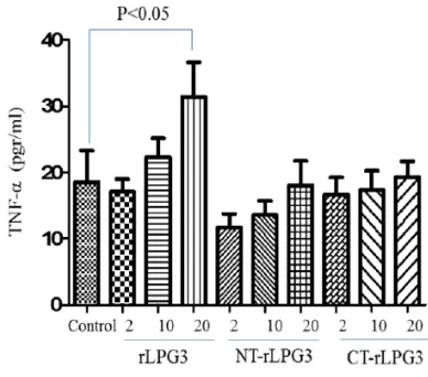 Fig. 4:  IFN-γ secretion in the presence or absence of anti- TLR-2 antibody. Human isolated NK cells were cultured with 10μg/ml of rLPG3 and its NT and CT fragments in the absence or presence of anti-TLR2 monoclonal antibody (αTLR-2) and the level of IFN-γ secretion was determined with ELISA  