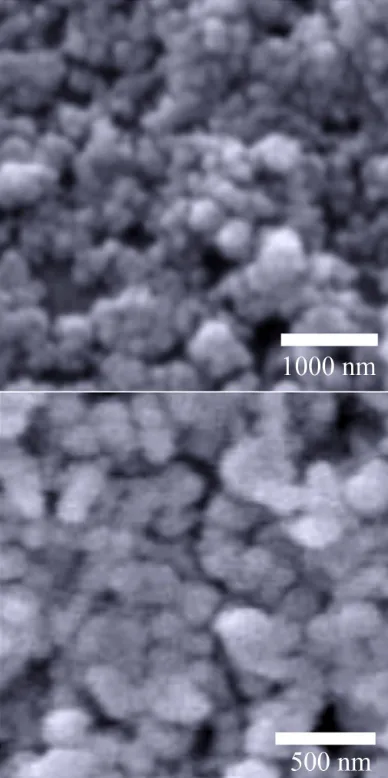 Fig. 2b. SEM images of ZnO nanoparticles at calcined temperature in 500 οC. 