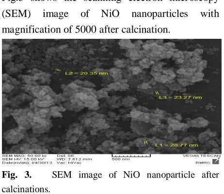 Fig. 3.    SEM image of NiO nanoparticle after 
