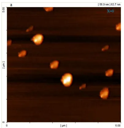 Fig. 5.   M-H curve of NiO nanoparticle before 
