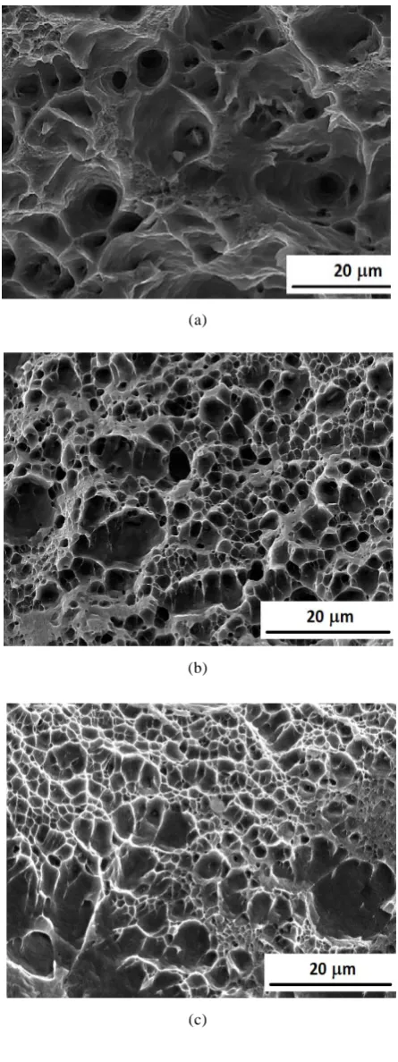 Figure 7 shows the microhardness profiles on the 