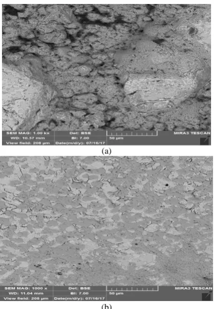 Fig. 5. (b) pressed under 650 MPa and sintered at (a) 1200 °C and (b) SEM images of fine titanium powder compacts 1400 °C