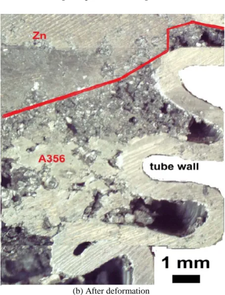 Fig. 4.  Macrographs of the zinc-A356 alloy foam filled tube (a) before, and (b) after the compression test