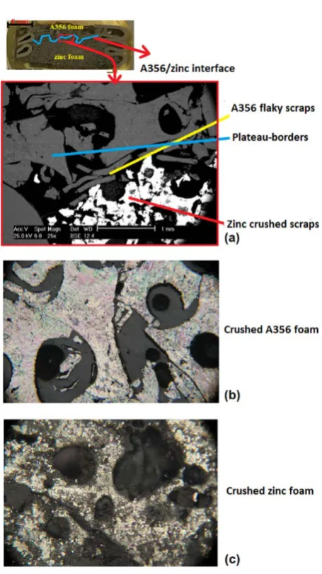 Fig. 5. Microstructure of the A356-zinc foam filled tube after being compressed up to the densification strain, (a) SEM image of A356/zinc interface, (b) optical image of the A356 foam layer near the interface, and (c) optical image of the zinc foam layer 