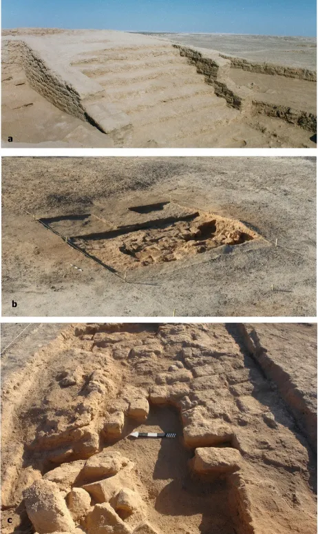 Figure 11. a. Large staircase of Building no. 1; b-c. mud brick platforms in the western part, dated to Period IV of the Shahr-i-Sokhta sequence.