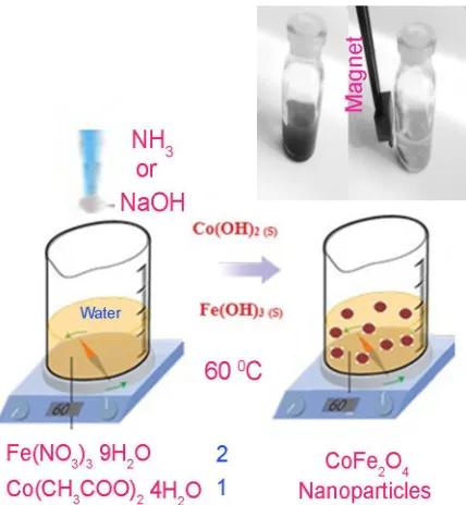 Fig. 1. Schematic of precipitation reaction