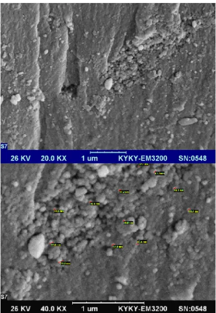 Fig. 2. XRD pattern of the CoFe2O4 nanoparticles 