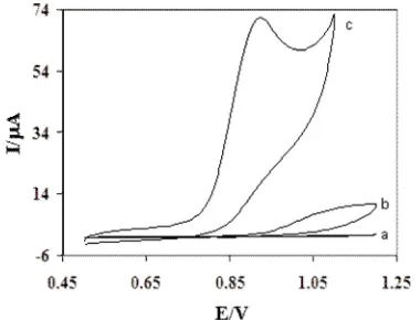 Fig 2. Cyclic voltammograms of (a) bare GCE in 