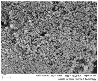 Fig. 1. SEM image of nano- TiO2. 