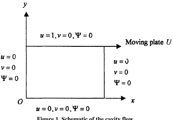 Figure 1. Schematic of the cavity flow 