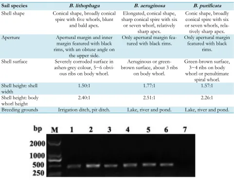 Fig. 2: 