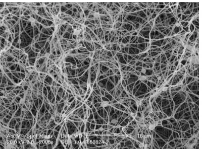 Fig. 6. SEM image of NC/Na- NTO composite nanofibers 