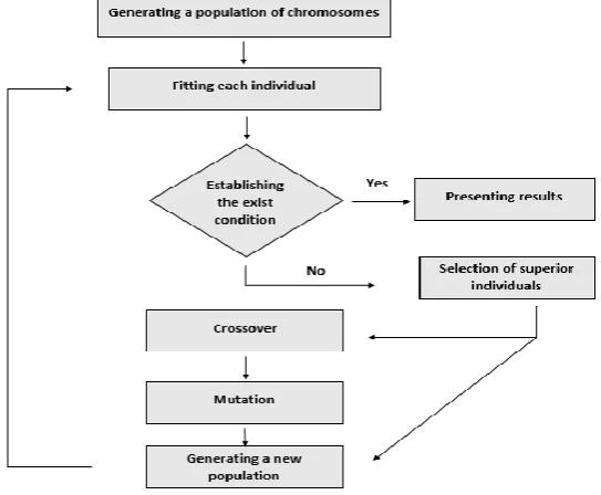 Figure 2. The schema of different stages of the Genetic Algorithm 