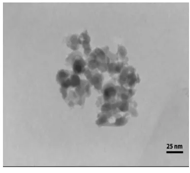 Fig. 3. Shows TEM micrograph of 10wt. %Ag\Alnanocomposite  2O3 