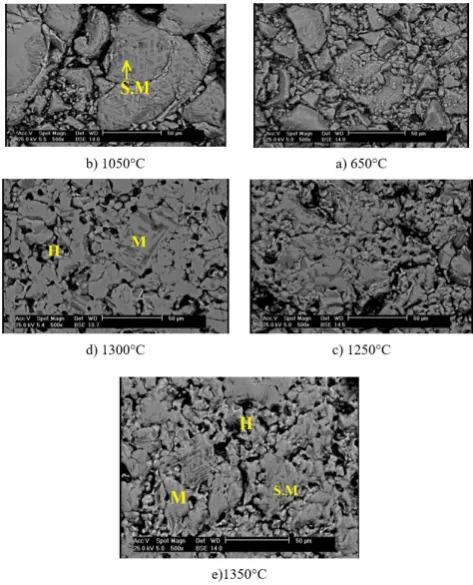 Fig. 5. SEM micrographs of Pellet No. 5 at final temperatures (magnification order: ×500)