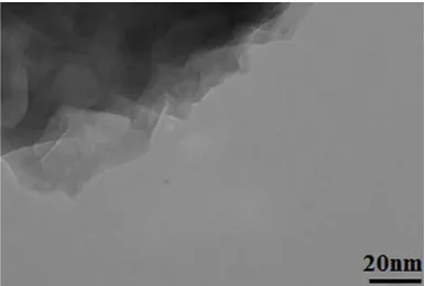 Fig. 1. Scanning electron micrograph (SEM) of schematic representation of nano-sized 1-D crystal fragments[Ni2(µ2-tpphz)(µ2-tp)(H2O)6]n.(tp).3.65(H2O) and  [6]