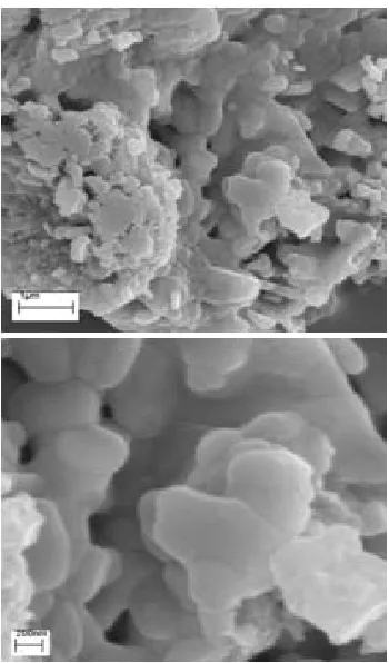 Fig. 6. SEM micrographs of products synthesis by Thermal Treatment at 500 �C. 