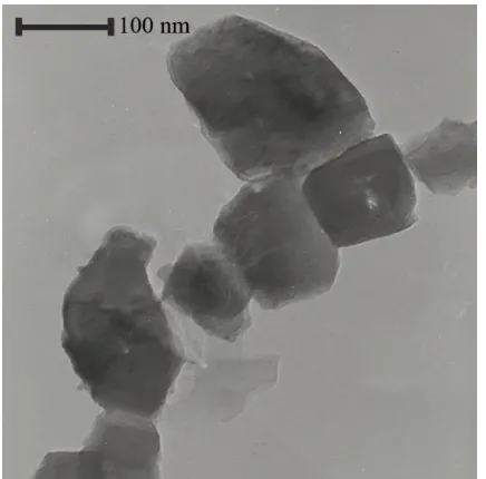 Fig. 7. TEM micrographs of CaCOstate method3 synthesis by solid   