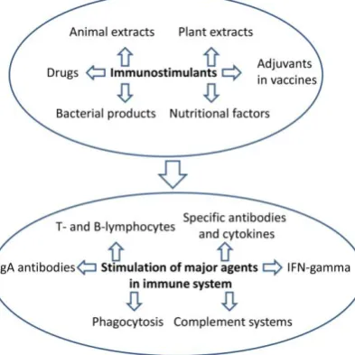 Table 1. Examples of immunostimulants and their specific functions 