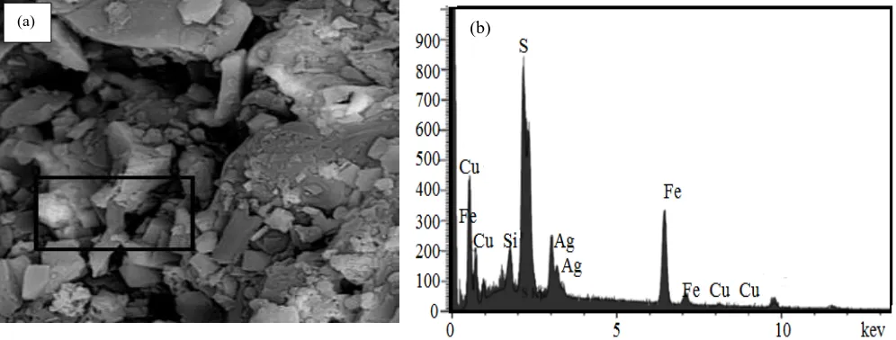 Fig. 4. SEM micrograph (a) and EDX analyses (b) of leaching residues from chalcopyrite in presence of pyrite