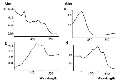 Figure 1. Absorption spectra of extracted pigments from. a. Halobacillus halophilus strain KF523277