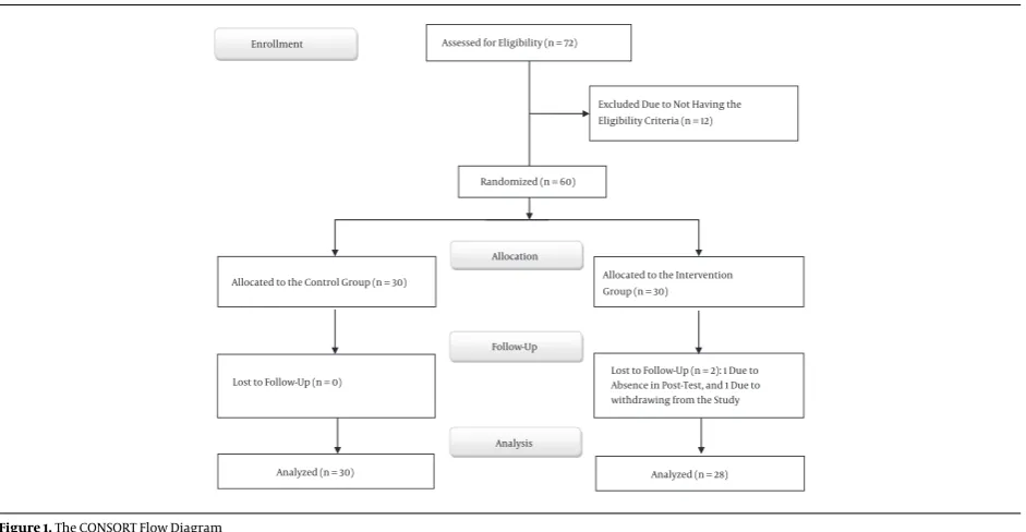 Figure 1. The CONSORT Flow Diagram