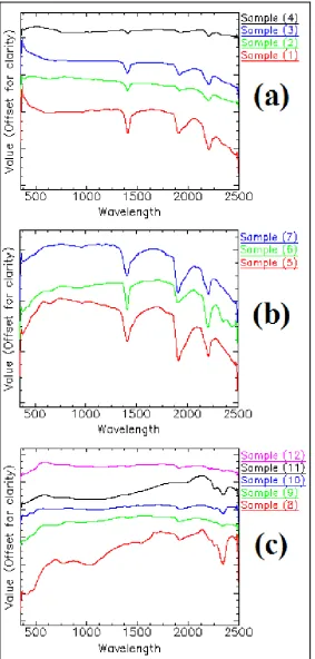 Fig. 6. Field spectrums of the 12 field samples obtained by ASD. (a) 4 phyllic samples, (b) 3 weak phyllic samples, and (c) 5 propylitic samples 
