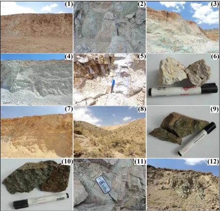 Fig. 7. Visual characteristics of the 12 field samples 