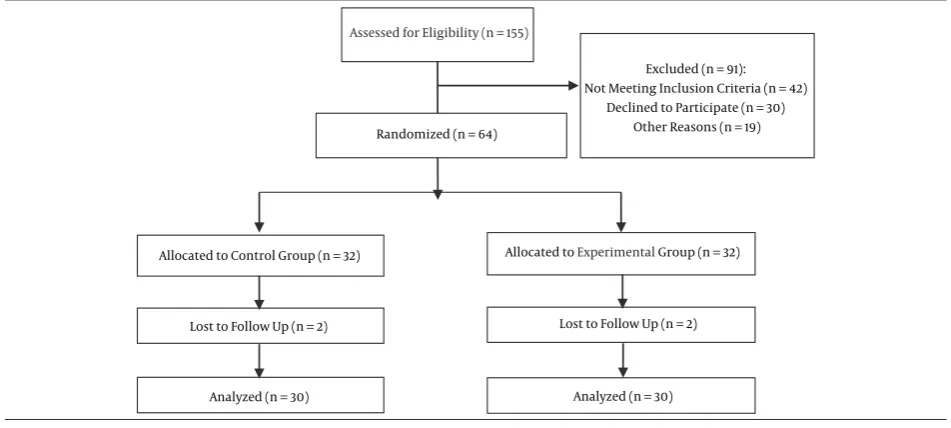 Figure 1. Consort Flow Diagram of the Study