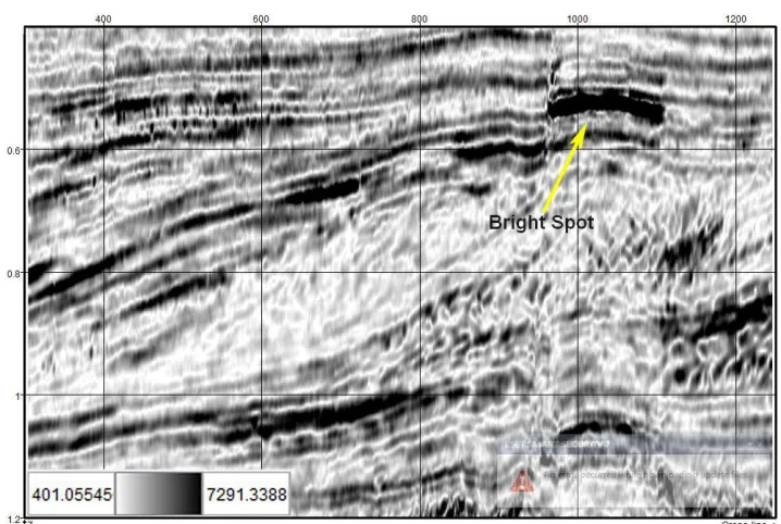 Fig. 12. The instantaneous amplitude attribute map (in-line 244): high amplitude in 530 ms is an indicator of the presence of charged gas