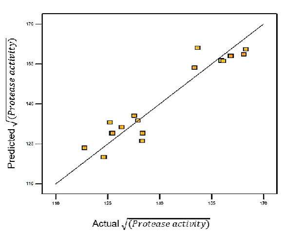 Figure 2. Predicted versus actual of protease activity 