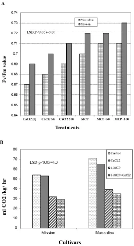Figure 3. Effect of 1-MCP (1.8 µL/L) and CaCl2 (mM) on Fv/Fm value (A) and respiration (B) of olive fruits after 12 weeks of storage at 6ºC 
