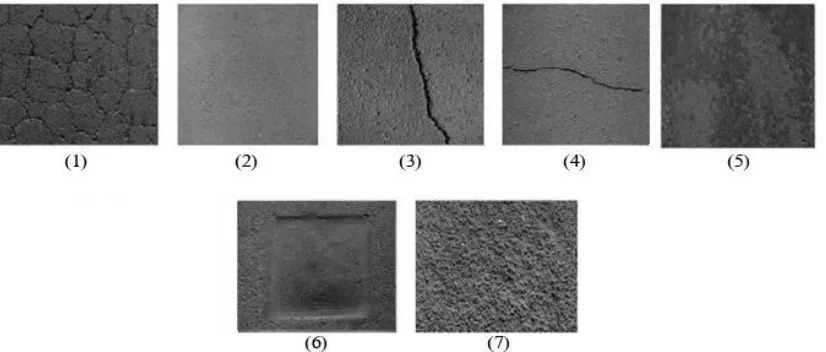 Fig. 8.  Classification of the acquired distress images: 1. Alligator (fatigue) cracking 2
