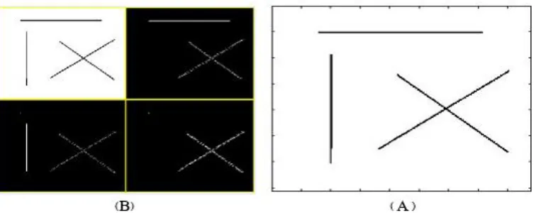 Fig. 1.  A. An image That includes linear horizontal, vertical, and diagonal discontinuities (singularities) / B