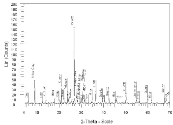 Figure 1: The X-Ray diffraction pattern of sample. 