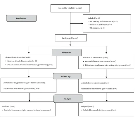 Figure 1.   The Study Design3.1. Ethical Considerations