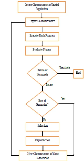 Fig. 5.  The flowchart of the gene expression algorithm (Ferreira, 2006). 