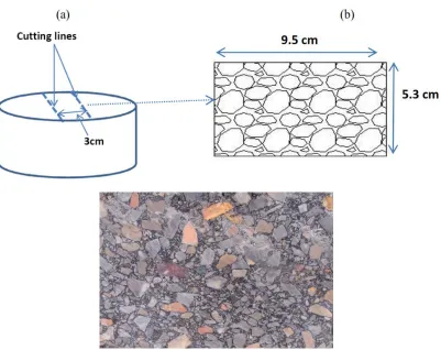 Fig. 1.  (a) Sample cutting method. (b) Dimensions for digital image analysis. 