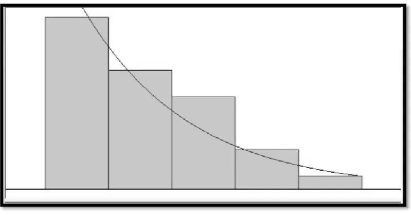 Figure 2. Service times’ histogram 