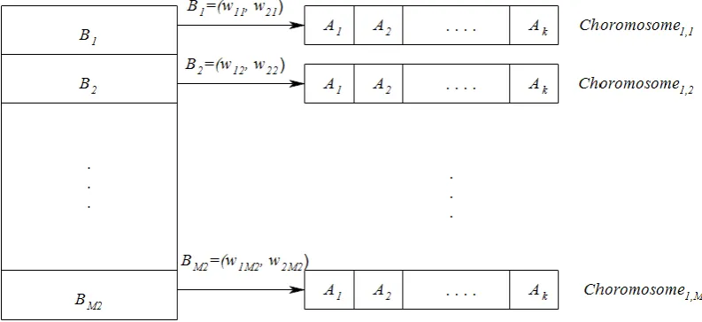 Figure 1. Graphical illustration for the notion of co-evolution 