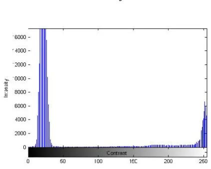 Fig. 4. Typical Histogram of red intensity color of an orange fruit
