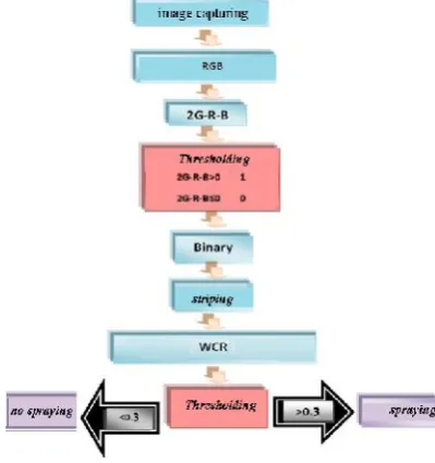 Fig. 2. Image processing algorithm developed in this study