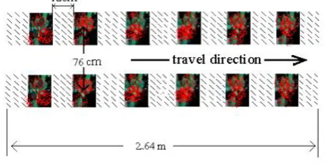 Fig. 3. Placement of weed samples in the laboratory test track
