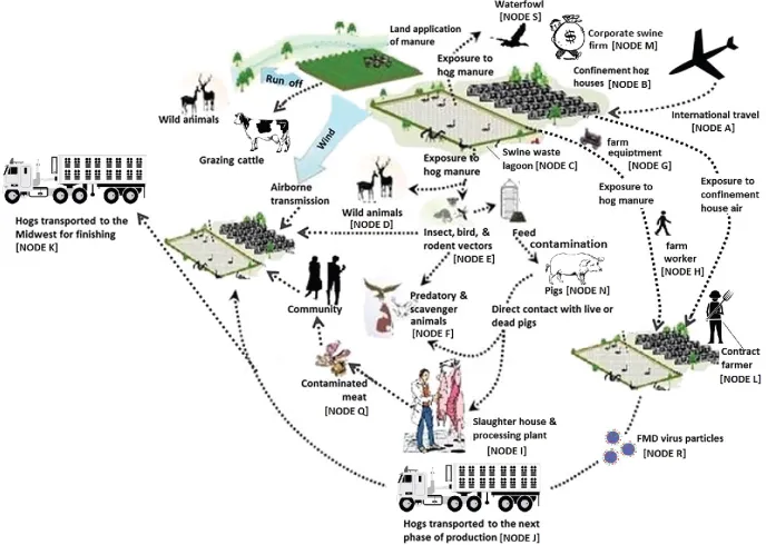 Figure 2: Illustration of pork production network, published in Stoddard and Cantor 2017