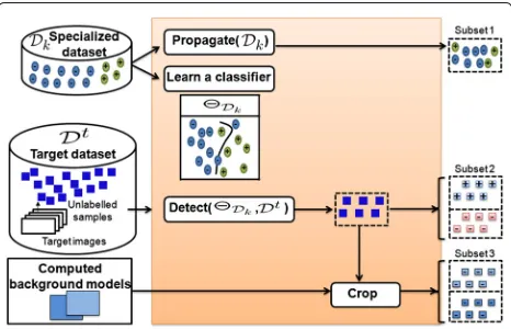 Fig. 2 Processing details of sample proposal strategies