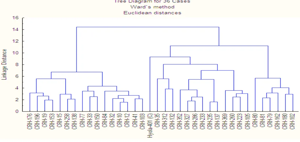 Figure 1: Cluster diagram of 7 traits in 36 rapeseed hybrids in 2014.