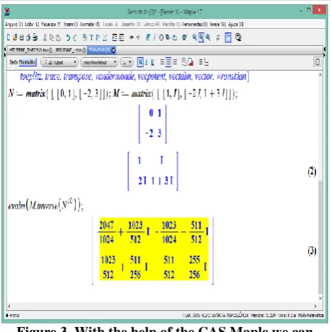 Figure 3. With the help of the CAS Maple we can determine high potencies of matrices related to the 