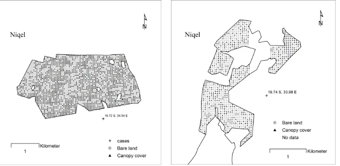 Figure 4: The extent of deforestation in Niqel’s project area in 2011. The figure to the left is area (a) and the area to the right is area (b)